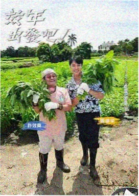 脱口秀新势力语言综艺在线观看